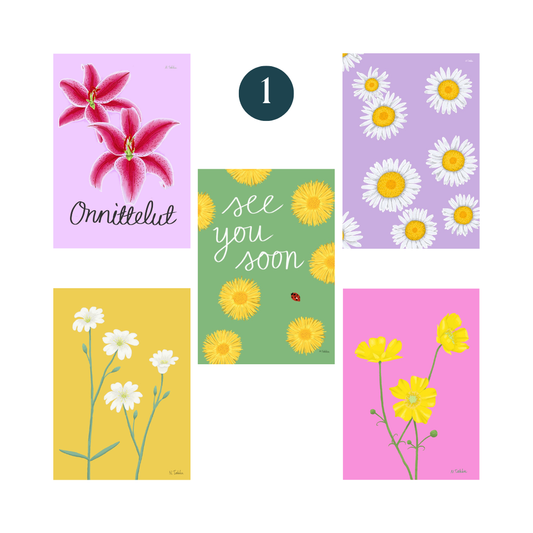 Postikorttisetit 5kpl